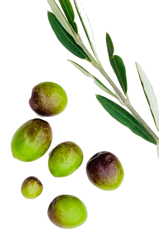 Mentxu Sanchez Alvarez